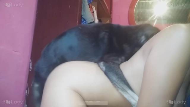 cachorro gozando xoxota cabeluda cachorro ejaculando mulher de quatro no chiqueiro dando para um porco Porco comendo a bucetona da putona com tesão Mia, Triana, Zaina, Valeria, Shantal, Lady Zoe, Andy, Xiomara Zoofilia