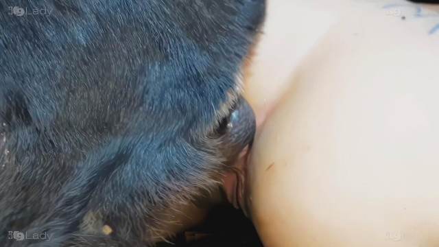 cachorro gozando xoxota cabeluda Raven, DogWoman, Alison, Yasmin, Gisele, Vixen, Cupcake, Lise, Sonia Zoofilia cachorro caralhudo comendo a buceta de loira Mad GloryQuest Japones sexo com cachorro Cachorro arrombando buceta da dona