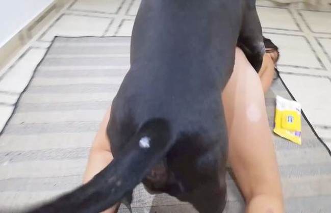 fodas com animais peluda  sexo com animais xoxota Cachorro dá um nó na buceta da e engata o pinto até gozar Mulher latina fazendo sexo com cavalo Cachorro comendo o Cu da empregada Mulher trepando com cavalão enquanto marido cornao assiste