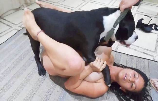fodas com animais peluda  sexo com animais xoxota Puta transando com um cavalo em pé k9lady Cavalo de Pau Molhado e Mulher Chupando Filmes Pornô Com Cachorros - Zoofilia Amadora