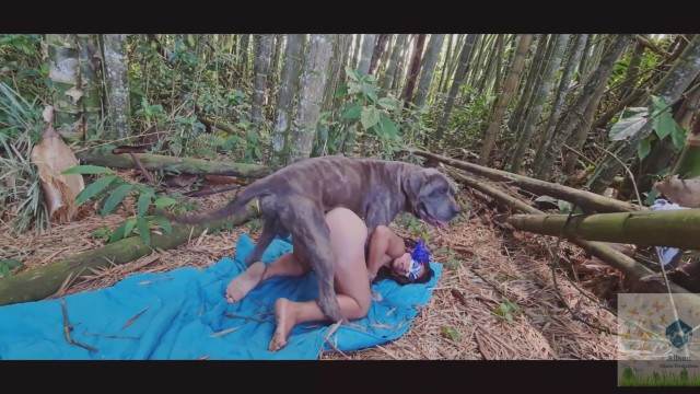 zoofilia peluda  sexo com animais DVDs animal sexo tubo Porno Bizarro - Sexo Gratis filmes zoofiliade  brasileirinhas Filme pornô com um enorme pau de cavalo