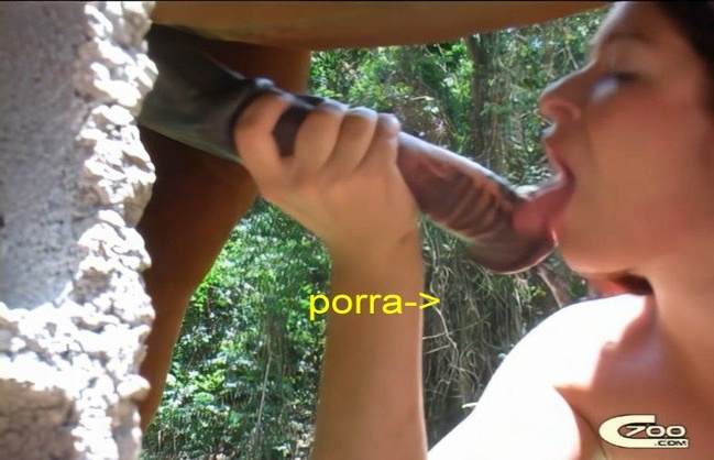 cabeluda sexo bizarro peluda  sexo com animais Bestiality woman having sex with animals Cachorro arrombando buceta da dona Zoofilia com uma loira gostosa Assista pornografia de bestialidade gratuita