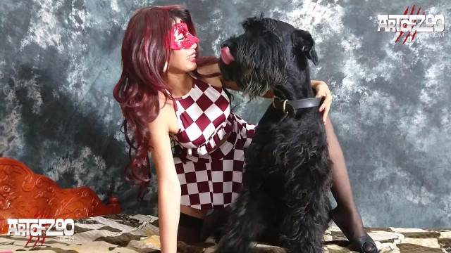 zoofilia pinto de cavalo cabeluda Zoosection animal sexo tubo Mulheres brasileiras trepam com garanhão Filme pornô de zoofilia com uma mulher indiana