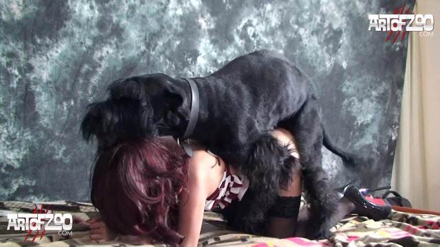 zoofilia pinto de cavalo cabeluda Seamless Vídeos porno de zoofilia con perros y caballos que follan a las chicas zoofílicas melhores filmes de bestialidade de todos os tempos sexo bizarro