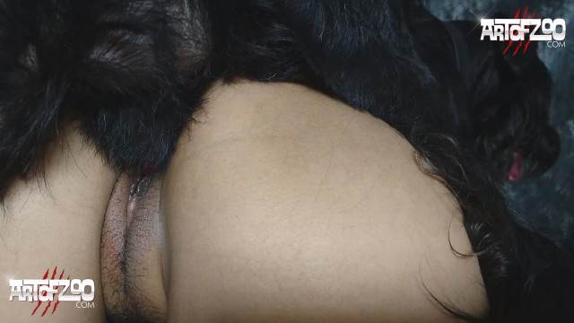 zoofilia pinto de cavalo cabeluda Cavalo de Pau Molhado e Mulher Chupando Lise private club animalsex O javali gozador na buceta da garota nova Zoofilia com uma loira gostosa
