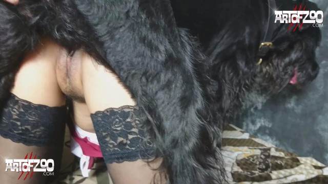 zoofilia pinto de cavalo cabeluda mulher chupando a pica do cachorro Nova tomando uma rolada de porco na vagina Filme pornô com um enorme pau de cavalo Assista pornografia de bestialidade gratuita