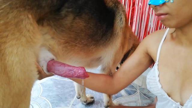 DVDs peluda  sexo com animais sexo bizarro Vídeo de sexo bestial grátis Mad GloryQuest Japones sexo com cachorro pornografia animal Filme pornô com um enorme pau de cavalo