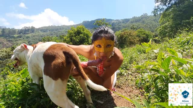 Filmes para Download xoxota fodas com animais cachorro comendo buceta Vídeo de sexo bestial grátis mulher chupando a pica do cachorro pornô zoofilia com oral