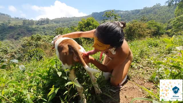 Filmes para Download xoxota fodas com animais namorada loira a transar com cavalo Cachorro comendo e gozando no cu da casada bunduda Assista pornografia de bestialidade gratuita Cavalo gozando dentro da buceta de uma loira cavala