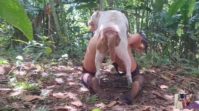peluda  sexo com animais DVDs cachorro gozando Cavalo de Pau Molhado e Mulher Chupando vídeos pornôs de animais grátis sexo bizarro Puta transando com um cavalo em pé