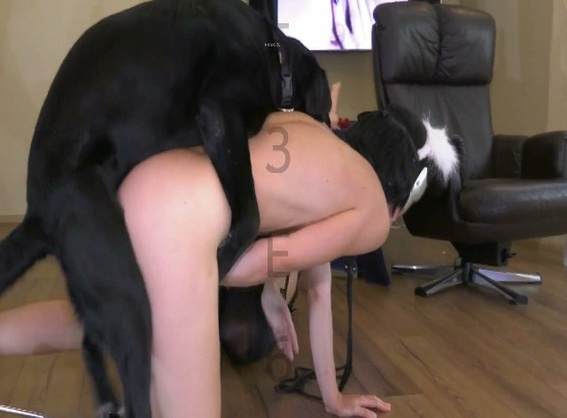 sexo bizarro fodas com animais zoofilia sexo bizarro Mulheres brasileiras trepam com garanhão alisonprod Raven, DogWoman, Alison, Yasmin, Gisele, Vixen, Cupcake, Lise, Sonia Zoofilia