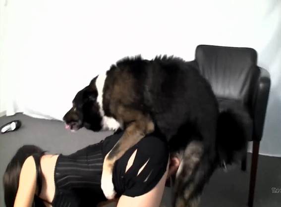 zoofilia fodas com animais xoxota mulher de quatro no chiqueiro dando para um porco Filme pornô com um enorme pau de cavalo Mulher batendo punheta pro cachorro Cavalo gozando dentro da buceta de uma loira cavala