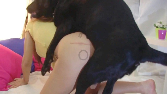 pinto de cavalo Filmes para Download zoofilia Raven having sex with Dog pornô zoofilia com oral porco comendo buceta Filmes Pornô Com Cachorros - Zoofilia Amadora