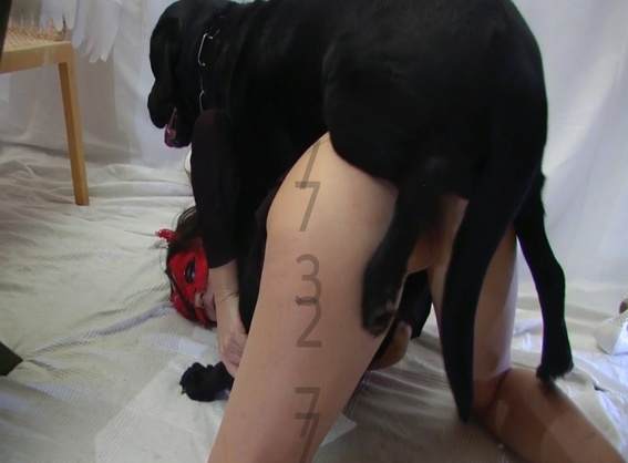 fodas com animais pinto de cavalo DVDs Puta transando com um cavalo em pé Cavalo de Pau Molhado e Mulher Chupando Mulher Transando Com Cachorro Zoofilia com uma loira gostosa