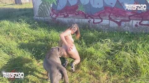 fodas com animais cachorro gozando cabeluda novinha gostosa brasileira dando a sua buceta para o cavalo animalsex Porco comendo a bucetona da putona com tesão pornografia animal