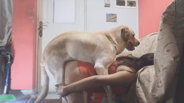 DVDs cachorro gozando zoofilia animalsex melhores filmes de bestialidade de todos os tempos Cachorro dá um nó na buceta da e engata o pinto até gozar Cavalo de Pau Molhado e Mulher Chupando