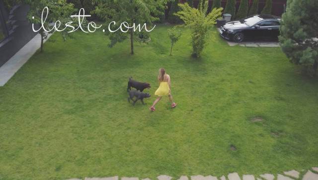 Filmes para Download cabeluda dogbond Nova tomando uma rolada de porco na vagina Mulher Transando Com Cachorro Raven having sex with Dog filmes anal sexual amor zoofílico orgia no zoológico