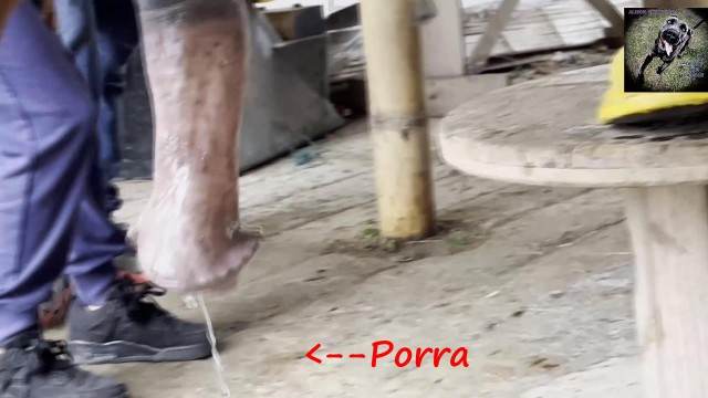 fodas com animais zoofilia dogbond Bestiality woman having sex with animals Mulher batendo punheta pro cachorro cavalo de pau duro Cachorro arrombando buceta da dona