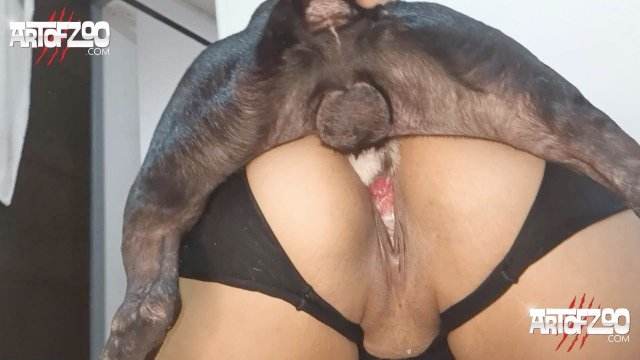 peluda  sexo com animais fodas com animais xoxota Penetração Sexo com cachorro Pornografia de zoológico grátis Raven having sex with Dog mulher de quatro pro cachorro Raven, DogWoman, Alison, Yasmin, Gisele, Vixen, Cupcake, Lise, Sonia Zoofilia