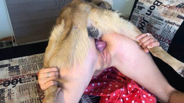 DVDs pinto de cavalo Filmes para Download cachorro ejaculando ZOO pornô com animais. vídeos gratuitos de bestialidade filmes zoofiliade  brasileirinhas mulher chupando a pica do cachorro