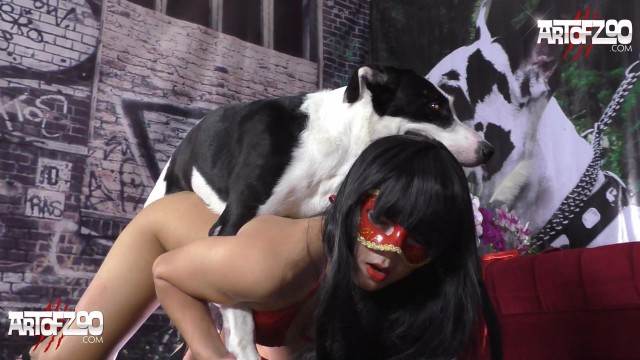 Filmes para Download fodas com animais zoofilia Puta transando com um cavalo em pé sexo com cavalos e uma MILF Porco Comendo Cuzinho De Mulher Quarentona Zoosection