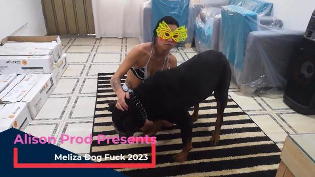 sexo bizarro dogbond pinto de cavalo Pornô de cavalo gozando dentro de mulher pornografia animal Zoofilia com uma loira gostosa Vídeos porno de zoofilia con perros y caballos que follan a las chicas zoofílicas