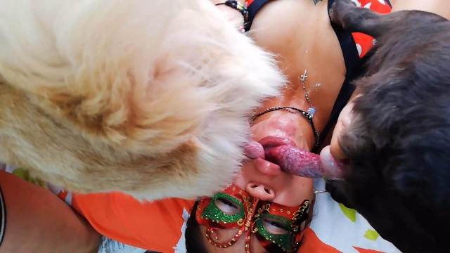 sexo bizarro dogbond pinto de cavalo pornô zoofilia com oral Pornô de cavalo gozando dentro de mulher Mulheres brasileiras trepam com garanhão sexo bizarro