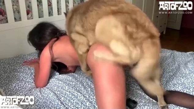 xoxota pinto de cavalo zoofilia Mulher trepando com cavalão enquanto marido cornao assiste novinha gostosa brasileira dando a sua buceta para o cavalo porco comendo a buceta Assista pornografia de bestialidade gratuita
