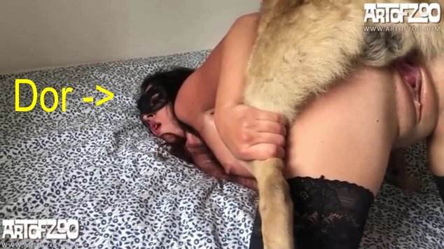 xoxota pinto de cavalo zoofilia Seamless pornografia animal sexo bizarro Cachorro arrombando buceta da dona