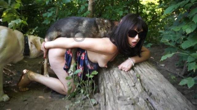 zoofilia xoxota cabeluda Filmes Pornô Com Cachorros - Zoofilia Amadora Pornô de cavalo gozando dentro de mulher filmes anal sexual amor zoofílico orgia no zoológico ZOO pornô com animais. vídeos gratuitos de bestialidade