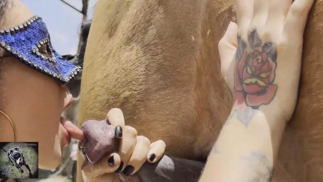cabeluda zoofilia sexo bizarro melhores filmes de bestialidade de todos os tempos sexo com cavalos e uma MILF cavalo mete com força na buceta filmes anal sexual amor zoofílico orgia no zoológico