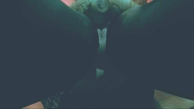sexo bizarro Filmes para Download DVDs Mia, Triana, Zaina, Valeria, Shantal, Lady Zoe, Andy, Xiomara Zoofilia Cachorro arrombando buceta da dona Puta transando com um cavalo em pé Porco Comendo Cuzinho De Mulher Quarentona