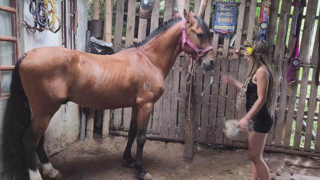 peluda  sexo com animais dogbond cachorro gozando animal sexo tubo mulher chupando a pica do cachorro Filmes Pornô Com Cachorros - Zoofilia Amadora pornografia animal