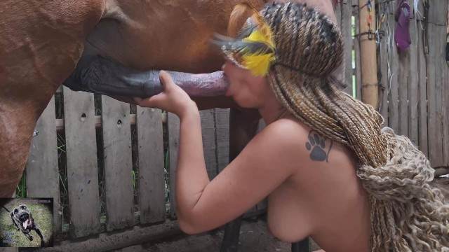 peluda  sexo com animais dogbond cachorro gozando cavalo de pau duro pornô zoofilia com oral cavalo mete com força na buceta Mulher batendo punheta pro cachorro