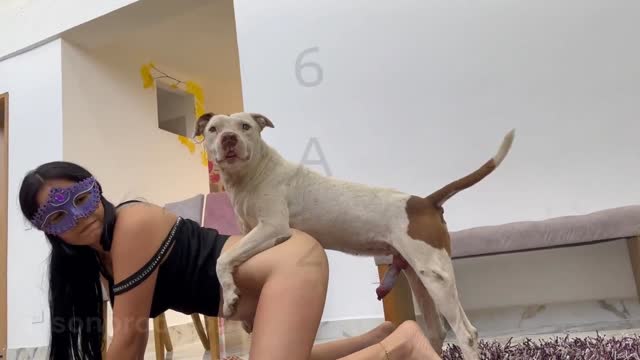 Filmes para Download xoxota fodas com animais Mulher trepando com cavalão enquanto marido cornao assiste animal sexo tubo Filmes Pornô Com Cachorros - Zoofilia Amadora cavalo gozando na buceta