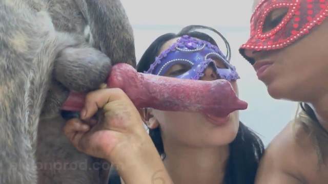 DVDs peluda  sexo com animais xoxota Mulheres brasileiras trepam com garanhão mulher chupando a pica do cachorro cavalo gozando na buceta Cachorro lambendo buceta molhada