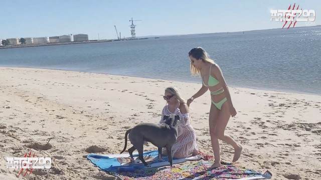 zoofilia pinto de cavalo peluda  sexo com animais Porno Bizarro - Sexo Gratis pornografia animal cavalo mete com força na buceta Assista pornografia de bestialidade gratuita