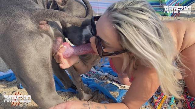 zoofilia pinto de cavalo peluda  sexo com animais mulher chupando a pica do cachorro vídeos pornôs de animais grátis Cachorro dá um nó na buceta da e engata o pinto até gozar k9lady