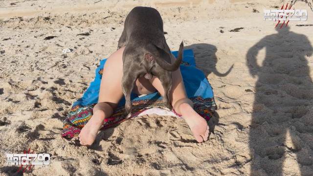 zoofilia pinto de cavalo peluda  sexo com animais Zoofilia com uma loira gostosa zoofilia selvagem Filmes Pornô Com Cachorros - Zoofilia Amadora Mulher latina fazendo sexo com cavalo