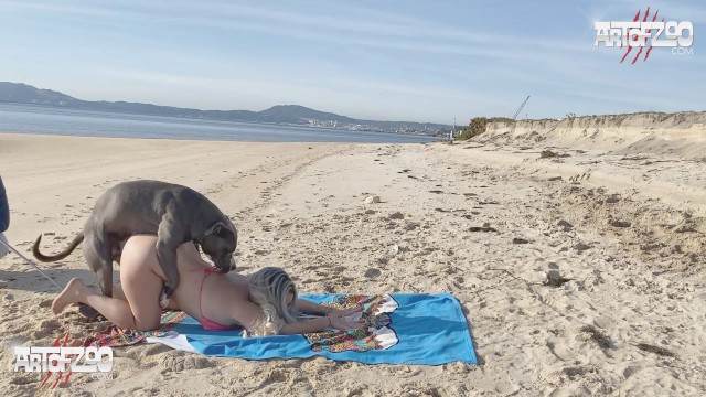 zoofilia pinto de cavalo peluda  sexo com animais cavalo mete com força na buceta Cachorro dá um nó na buceta da e engata o pinto até gozar Mulher batendo punheta pro cachorro Cavalo de Pau Molhado e Mulher Chupando