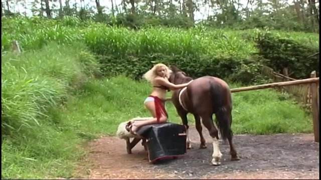 peluda  sexo com animais cachorro gozando cabeluda animal sexo tubo cavalo de pau duro k9lady Filme pornô com um enorme pau de cavalo