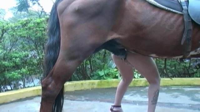 peluda  sexo com animais cachorro gozando cabeluda Cavalo gozando dentro da buceta de uma loira cavala Nova tomando uma rolada de porco na vagina Mad GloryQuest Japones sexo com cachorro ZOO pornô com animais. vídeos gratuitos de bestialidade