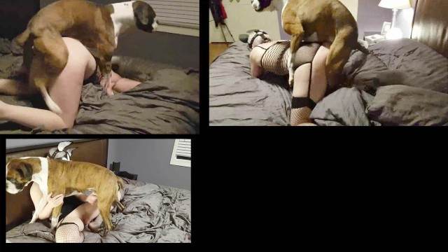 dogbond pinto de cavalo peluda  sexo com animais mulher de quatro no chiqueiro dando para um porco melhores filmes de bestialidade de todos os tempos Mia, Triana, Zaina, Valeria, Shantal, Lady Zoe, Andy, Xiomara Zoofilia filmes zoofiliade  brasileirinhas