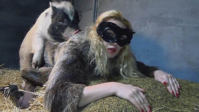 zoofilia xoxota fodas com animais Lise private club animalsex cavalo gozando na mulher Mulher Transando Com Cachorro zoofilia selvagem