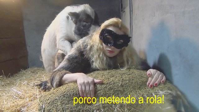 zoofilia xoxota fodas com animais animalsex Assista pornografia de bestialidade gratuita Porco Comendo Cuzinho De Mulher Quarentona Porco comendo a bucetona da putona com tesão