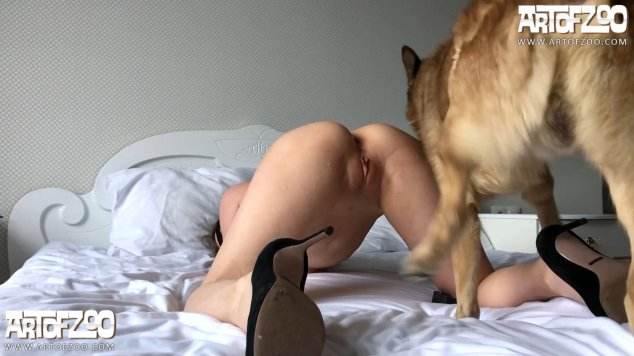 cabeluda dogbond sexo bizarro Mulher Transando Com Cachorro Cachorro arrombando buceta da dona Filme pornô de zoofilia com uma mulher indiana Filme pornô com um enorme pau de cavalo