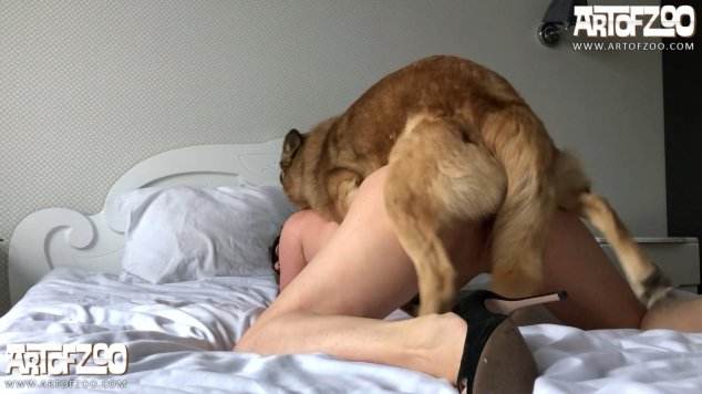 cabeluda dogbond sexo bizarro Cachorro comendo e gozando no cu da casada bunduda Pornô de cavalo gozando dentro de mulher Penetração Sexo com cachorro Pornografia de zoológico grátis filmes zoofiliade  brasileirinhas