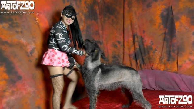 Filmes para Download sexo bizarro cachorro gozando cachorro comendo buceta mulher de quatro no chiqueiro dando para um porco Mulheres brasileiras trepam com garanhão O javali gozador na buceta da garota nova