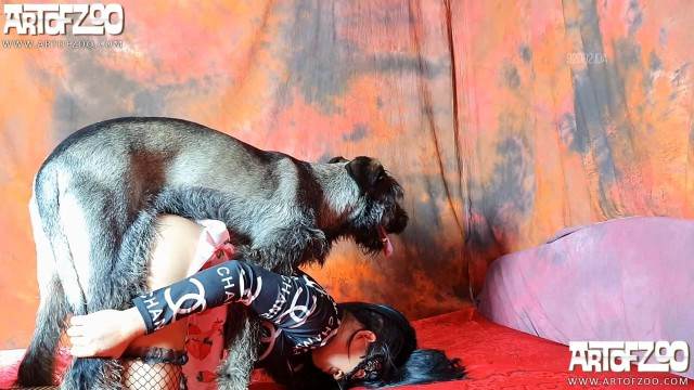 Filmes para Download sexo bizarro cachorro gozando O javali gozador na buceta da garota nova Cachorro comendo e gozando no cu da casada bunduda Filme pornô de zoofilia com uma mulher indiana Mad GloryQuest Japones sexo com cachorro