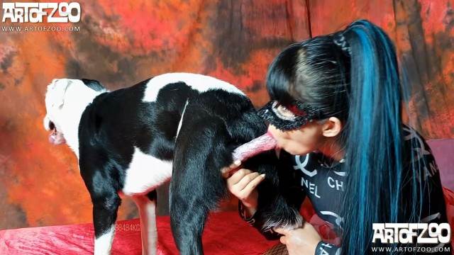 cabeluda zoofilia DVDs Cachorro arrombando buceta da dona Raven having sex with Dog animalsex Seamless
